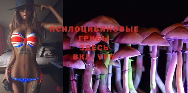 ГАЛЛЮЦИНОГЕННЫЕ ГРИБЫ Алексин